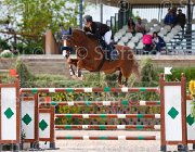 ROMANO LAS VEGAS CampITA2013- S5 0667 : Campionati Italiani 2013, Cattolica, Horse Riviera Resort, LAS VEGAS, ROMANO ROMINA, foto di Stefano Secchi ©